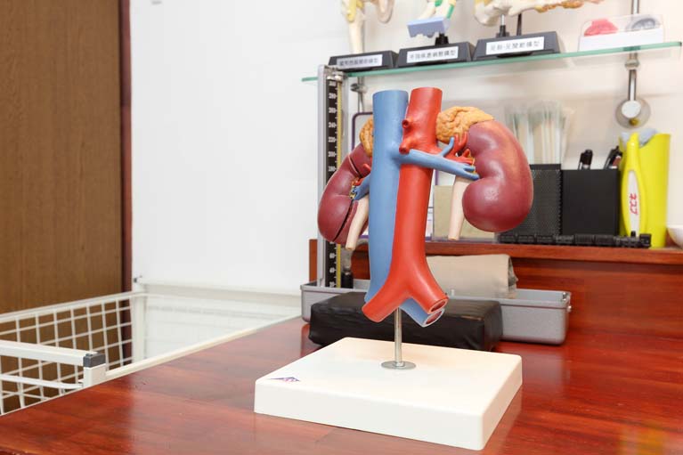 略歴(専門とする疾患など)